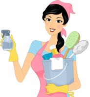 Maid To Clean image 1